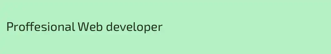 Proffesional Web developer